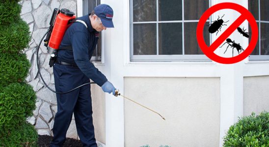 Güzelbahçe Böcek ve Haşere İlaçlama böcek ilaçlama ve haşere kontrolü — ilaclama-tr.com